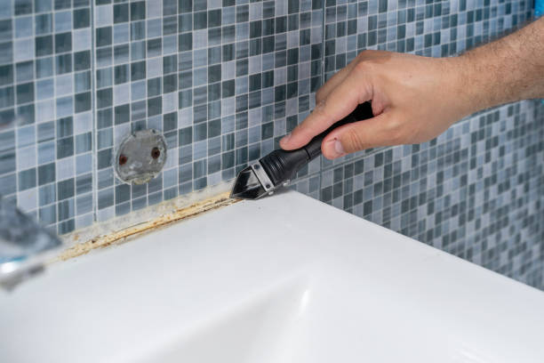 Professional Mold Remediation in Dyersburg, TN