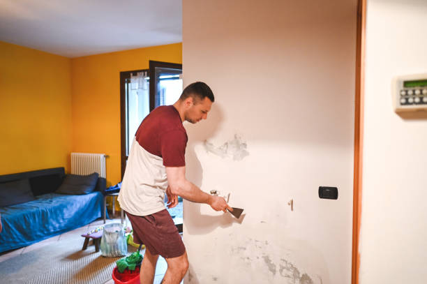 Best Localized Mold Remediation (e.g., coastal areas, humid climates) in Dyersburg, TN
